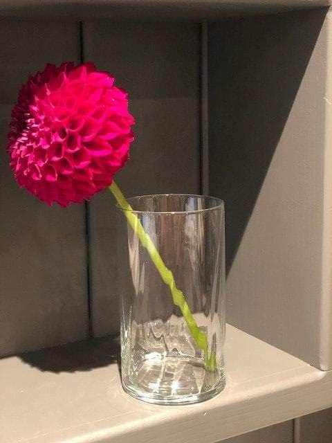 Glass Cylinder Flower Vase